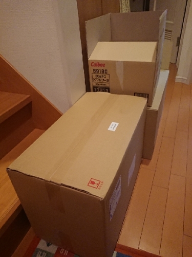 20190405103608657.jpg